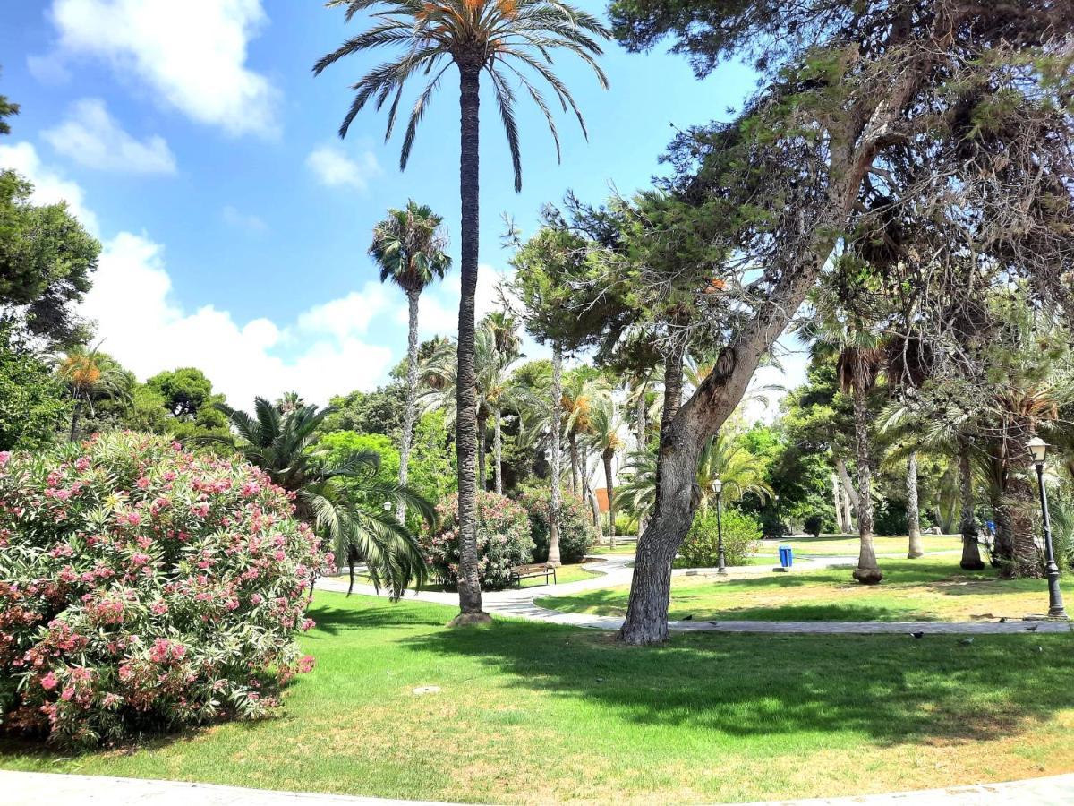 Sinforosa Park Apartments Torrevieja Ngoại thất bức ảnh